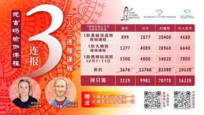 3 Programmes Special Deal-Niguma Yoga Courses ( 新 | 台 | 中 ）